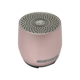 t2 speaker