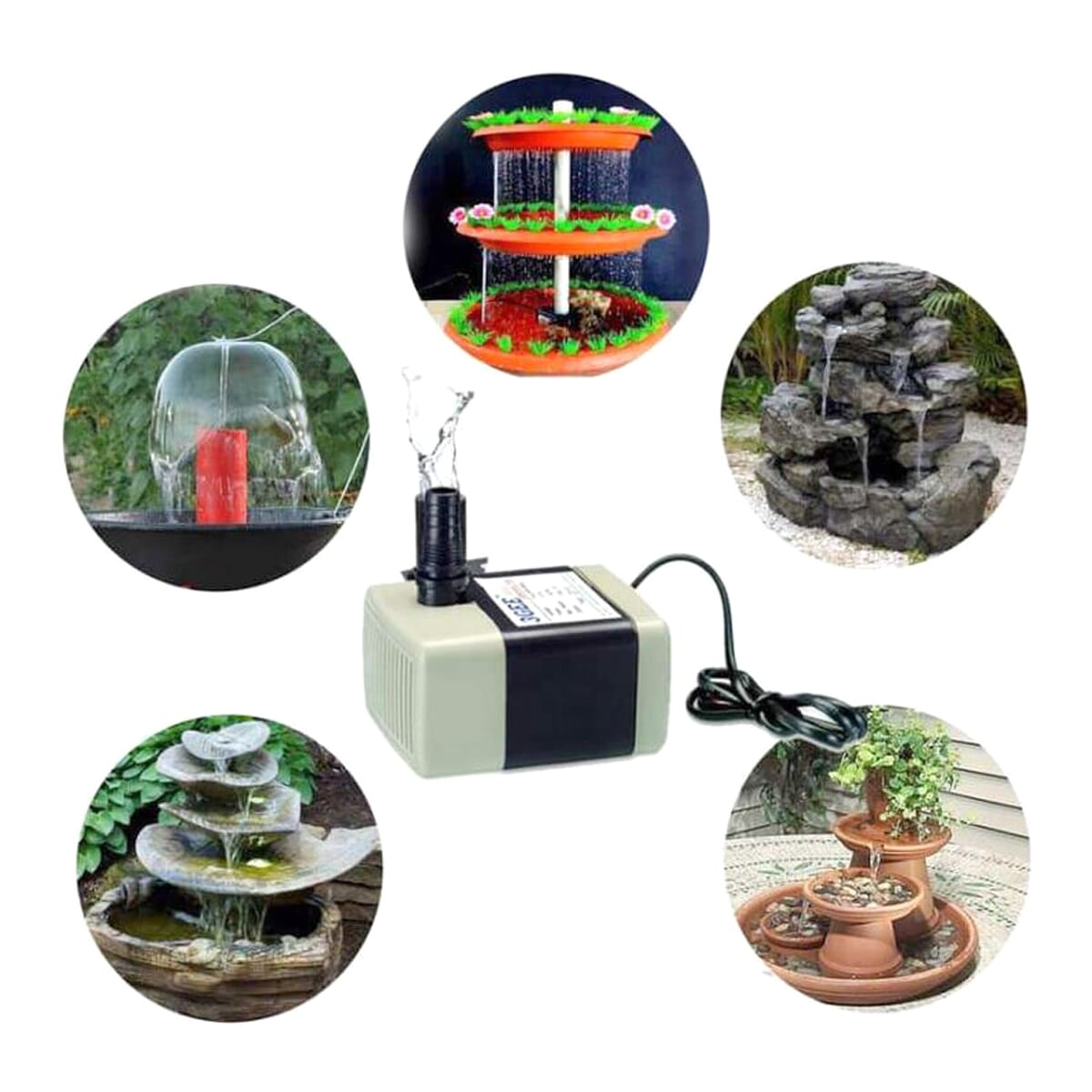 Fish Nepal Fish Official Store at