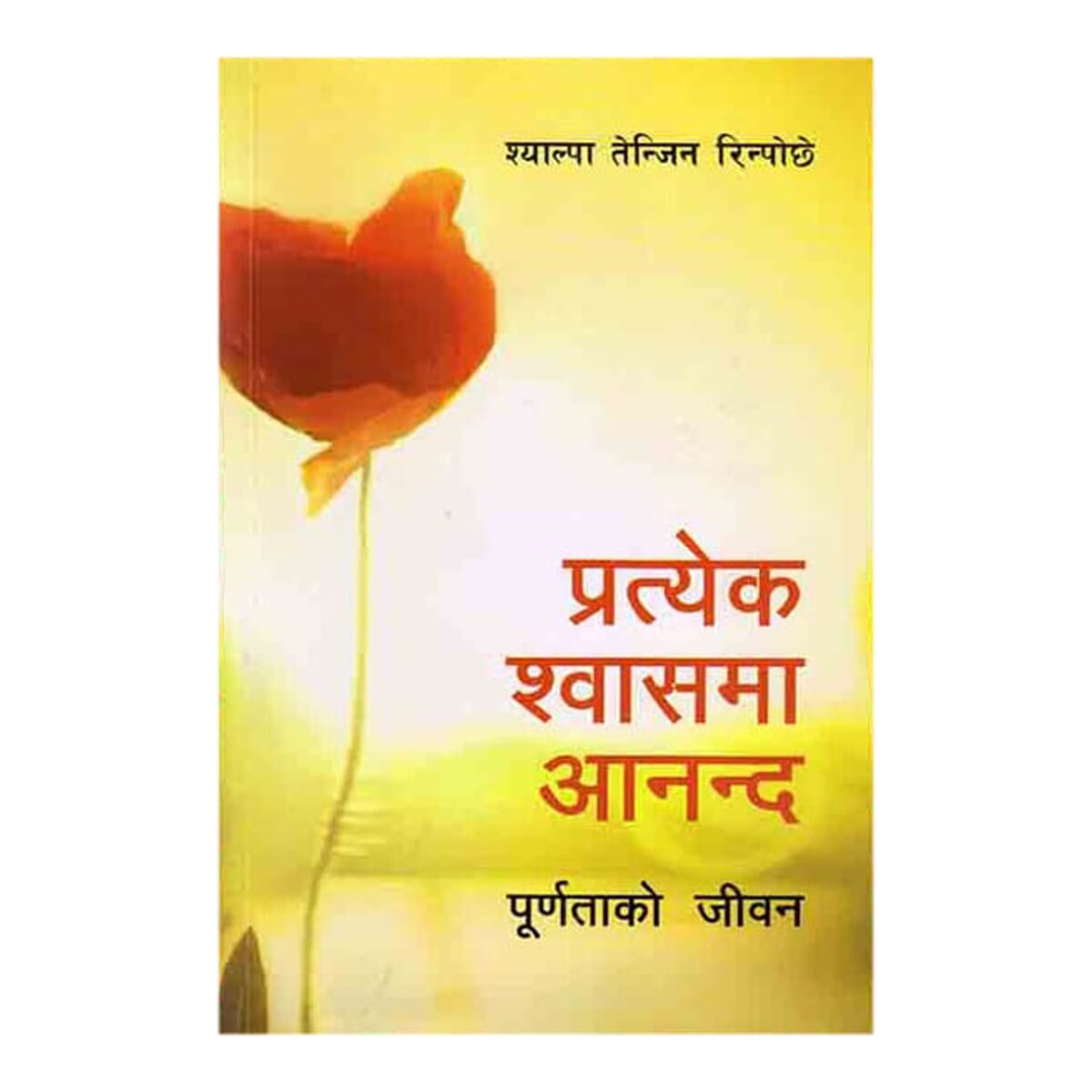 daraz.com.np