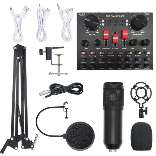 Bm800 Professional Studio Condenser Microphone with V8s Sound Card