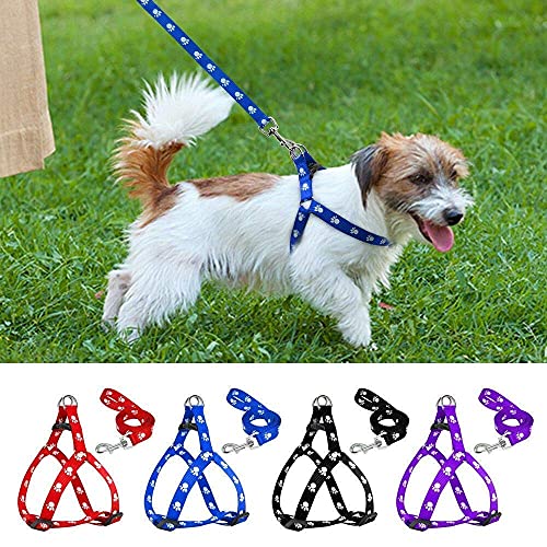 Small sales dog belt