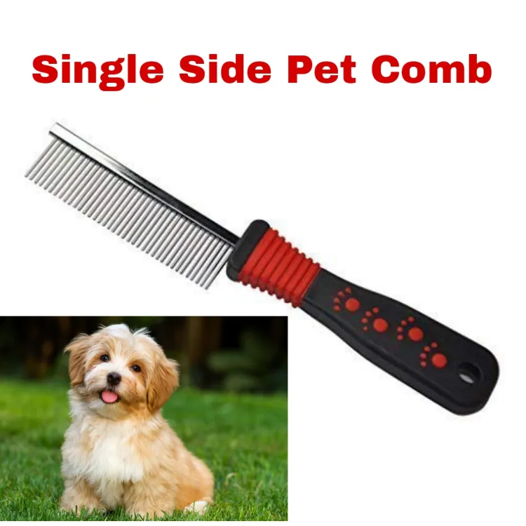 Pets at 2024 home dog comb