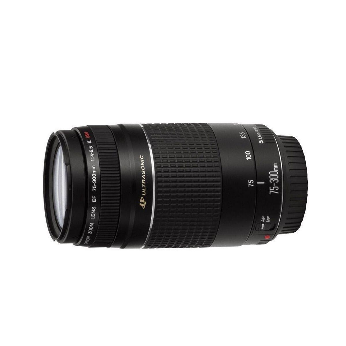 Canon EF 75-300mm 4-5.6 II ULTRASONIC - レンズ(ズーム)