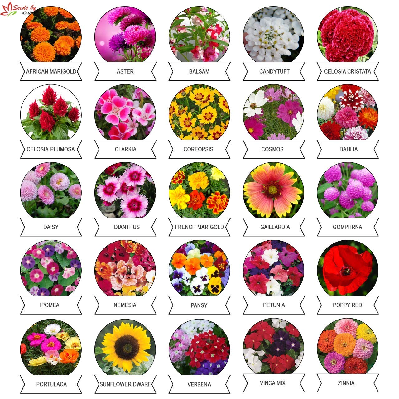 daraz.com.np