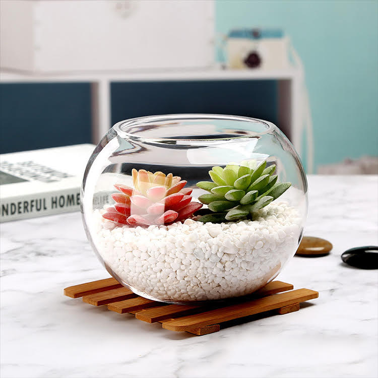 daraz.com.np