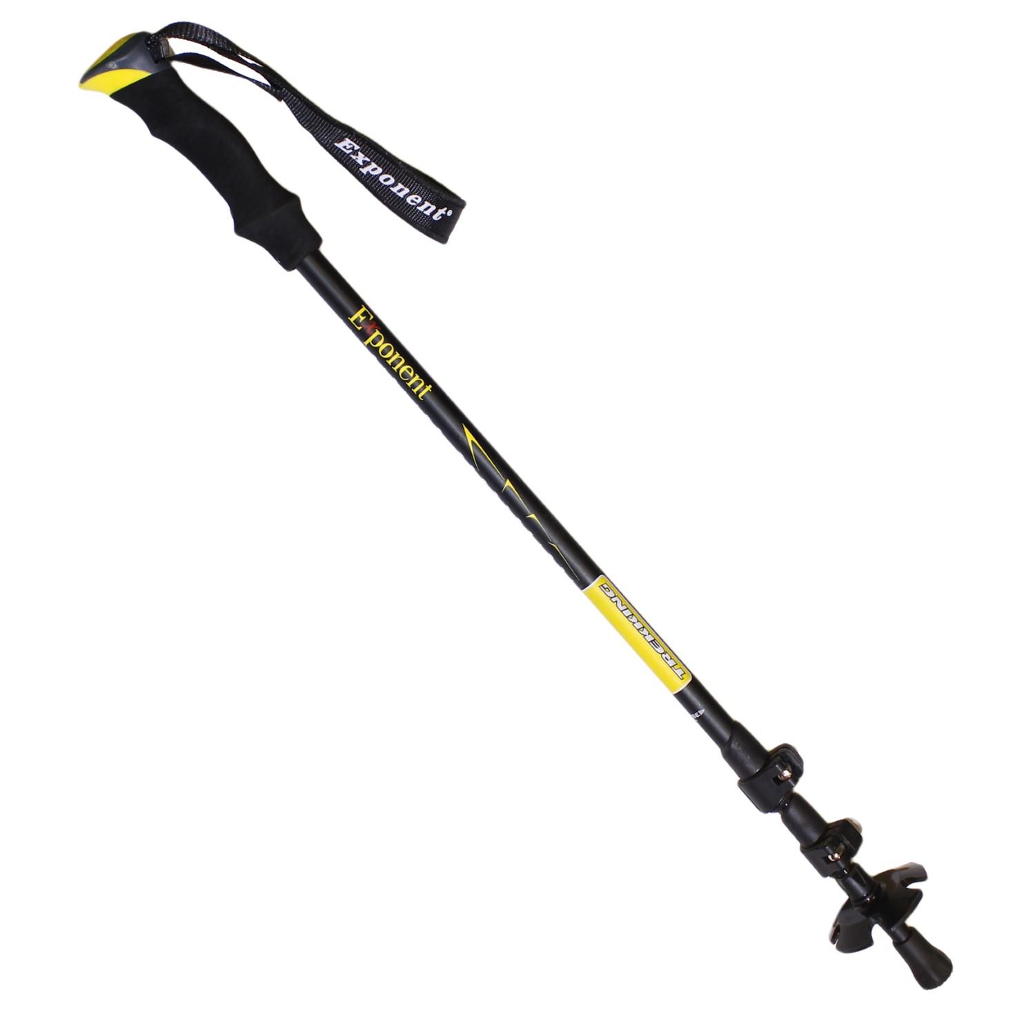 trekking stick price