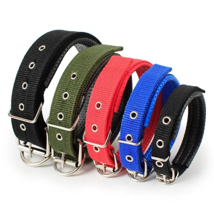 Belt for outlet dog neck