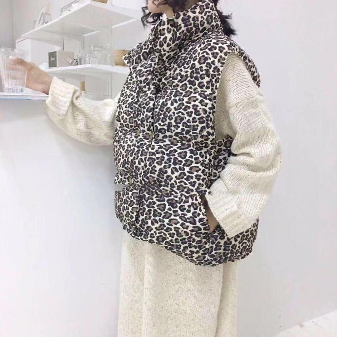 printed jacket price