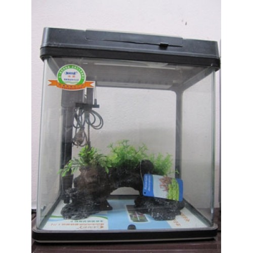 Camry aquarium clearance