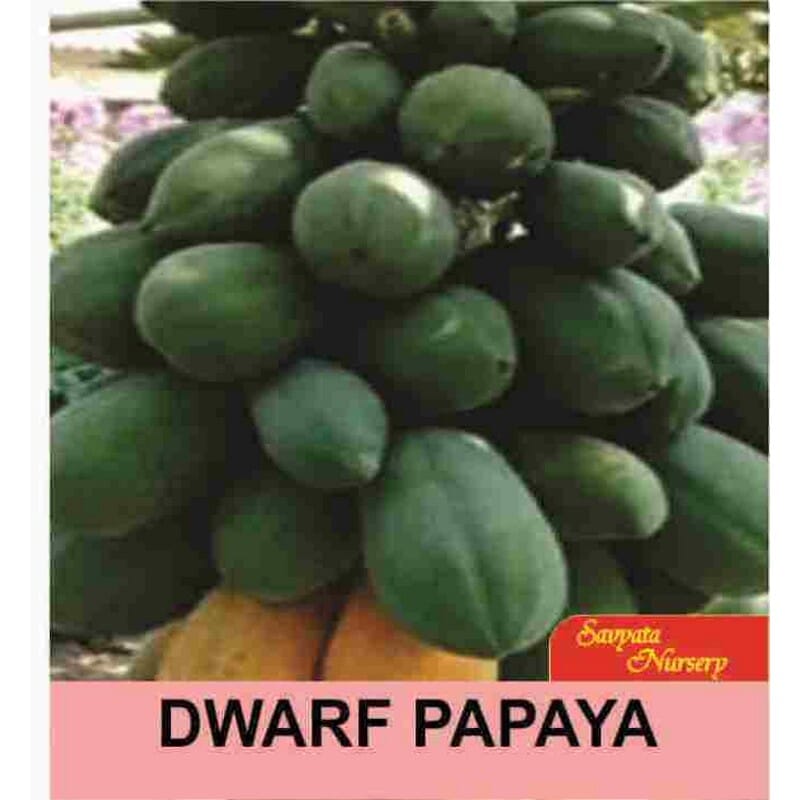 daraz.com.np