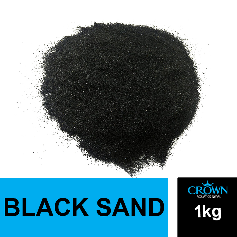 Black Sand Aquarium Design ubicaciondepersonas.cdmx.gob.mx