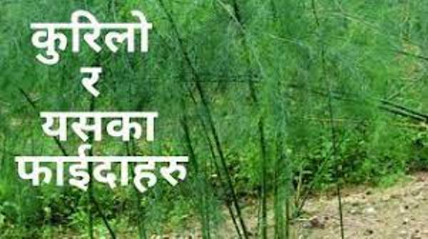 daraz.com.np