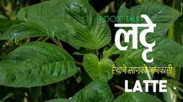 daraz.com.np