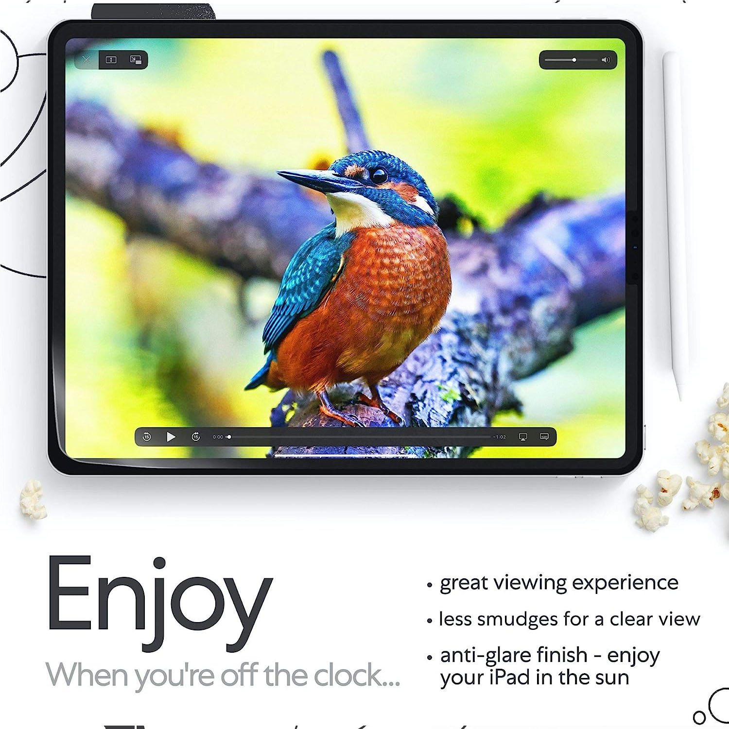 Paperlike Screen Protector for iPad Inch By Panchakumari