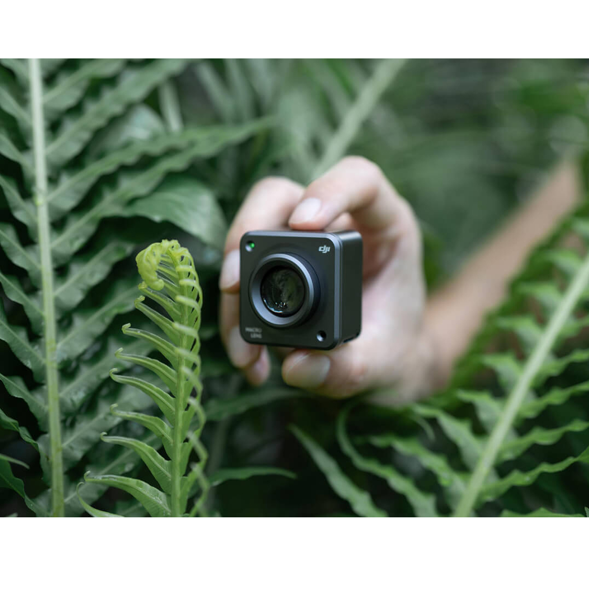 Camera Lens Price in Nepal Buy Camera Lenses Online