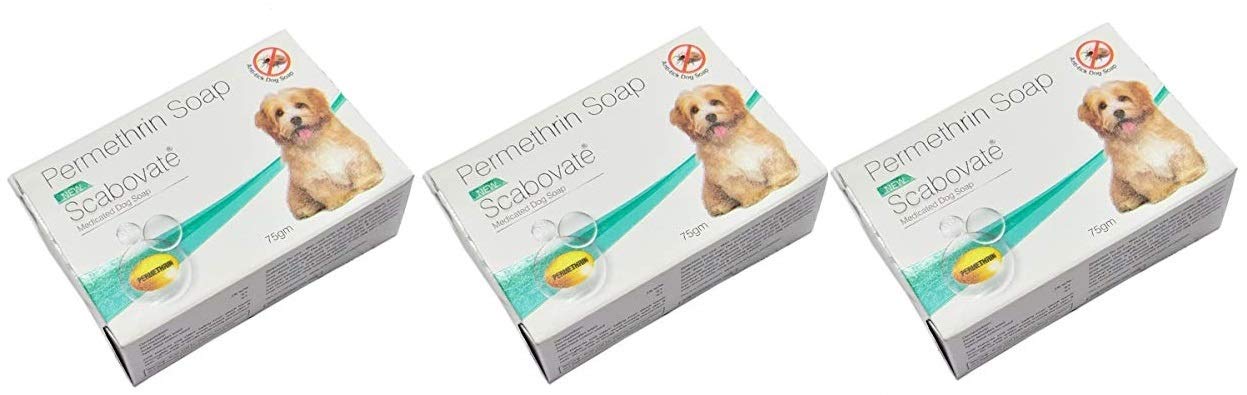 dog soap online