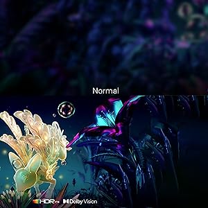 HDR10+, Dolby Vision