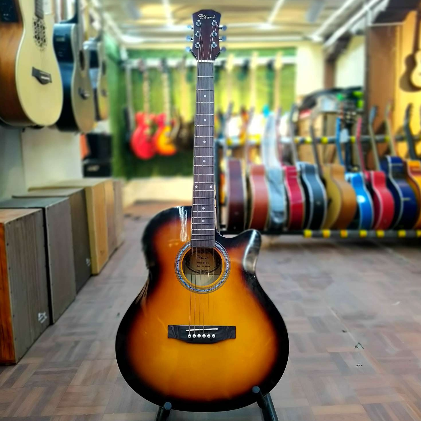 Guitar Chard 4 Eqlizer Combo Pack-10500