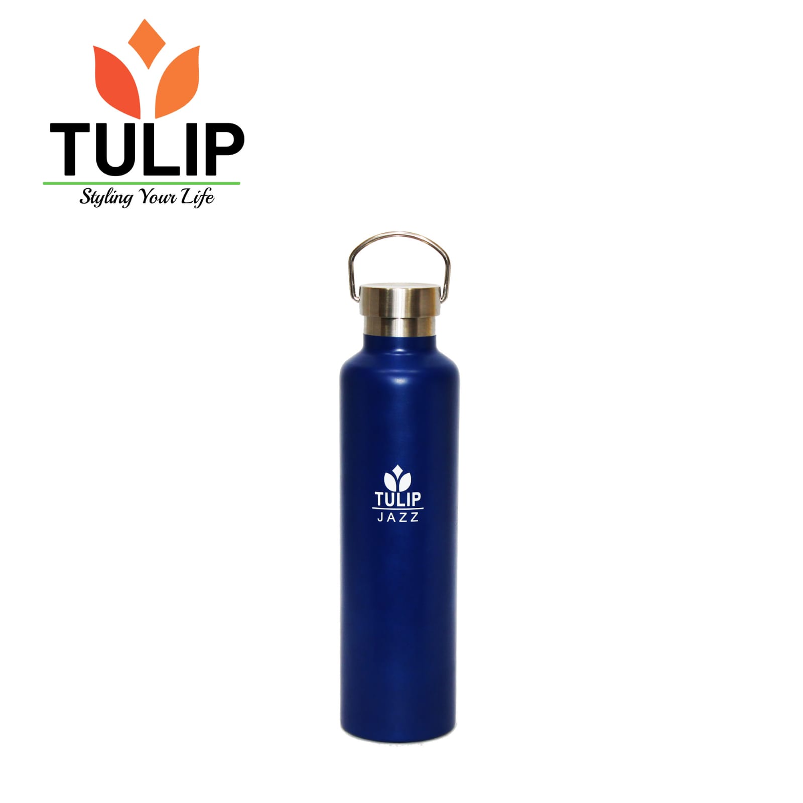 TTulip Stainless Steel Thermal Bottle/Thermos/Vacuum Flask Bottle Jazz