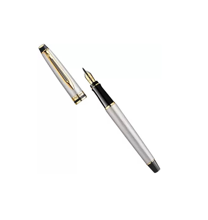 Parker Waterman Expert Fountain Pen, Stainless Steel with 23k Gold Trim