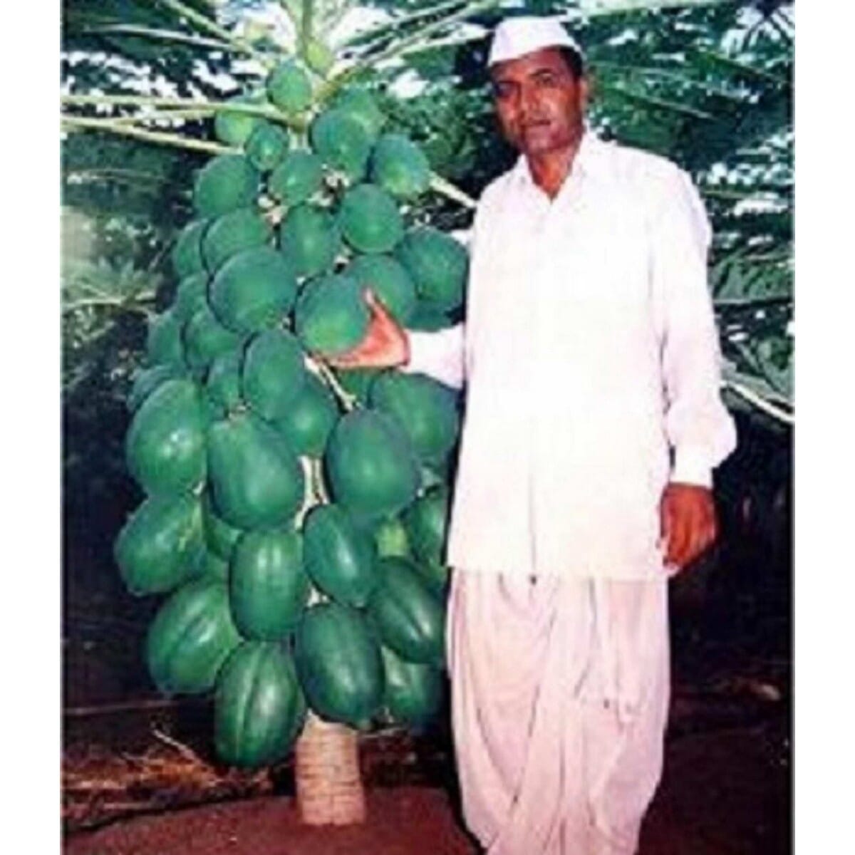 daraz.com.np