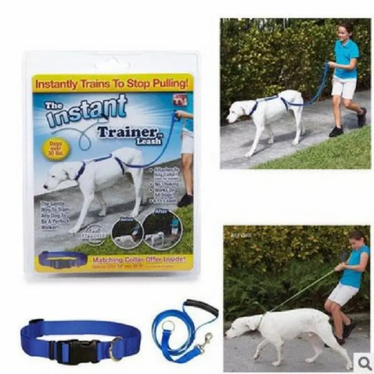 Thundersnap best sale dog leash