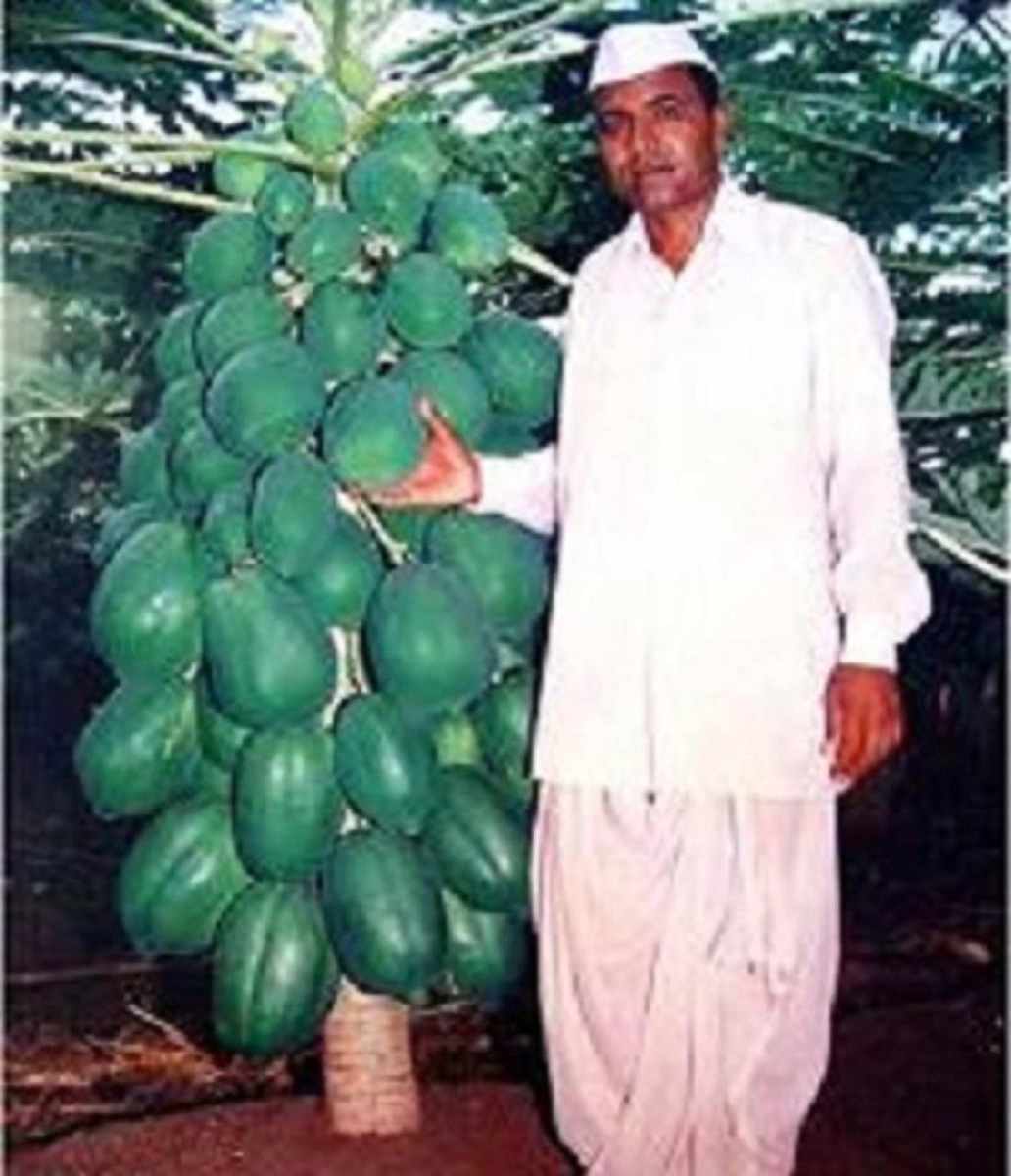 daraz.com.np