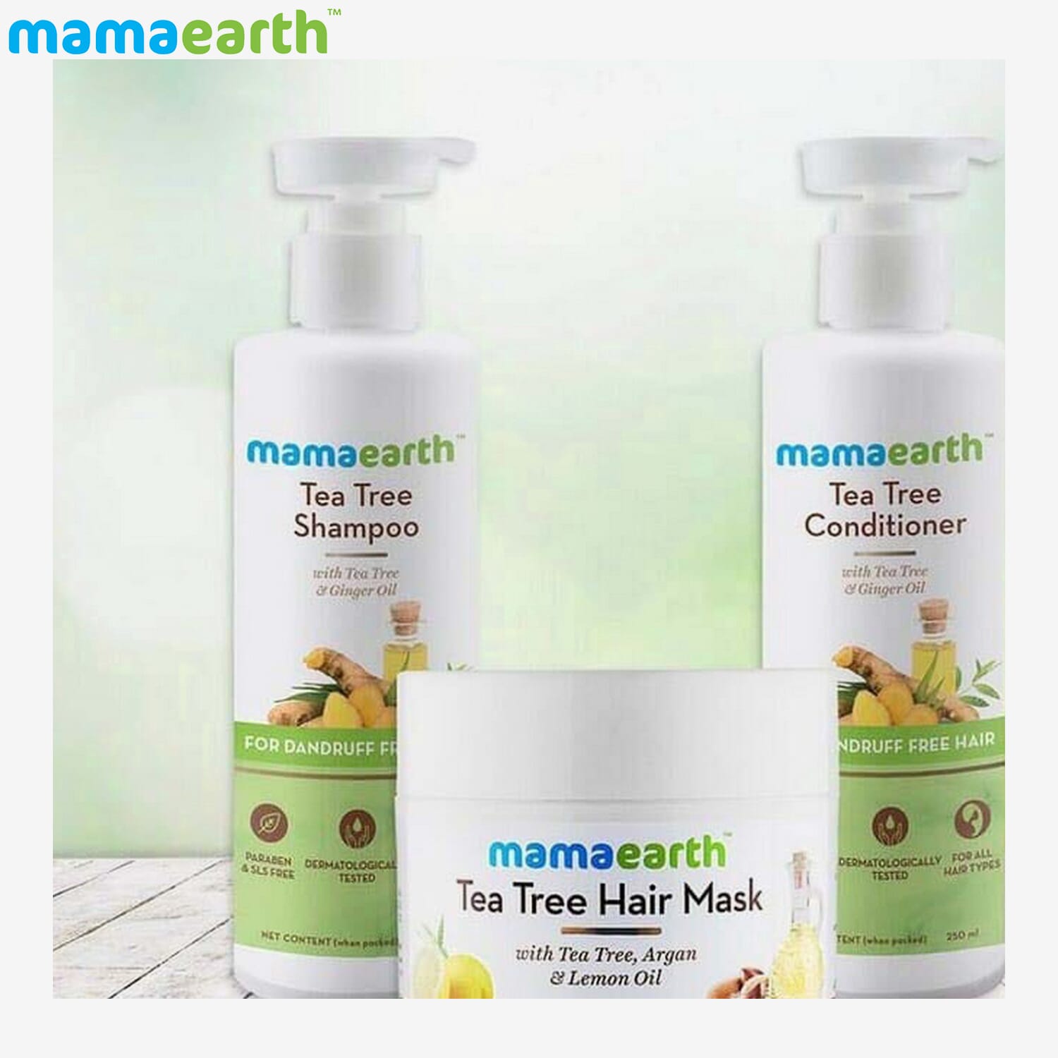 mamaearth Tea Tree Anti-Dandruff Hair Regime Kit