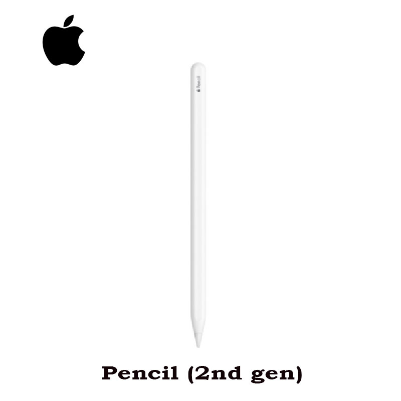 Apple Pencil 2nd Generation Compatible With Ipad Air 4th Generation Ipad Pro 11 Inch 1st 2nd And 3rd Generation Ipad Pro 12 9 Inch 3rd 4th And 5th Generation And Ipad Mini 6th Generation Buy