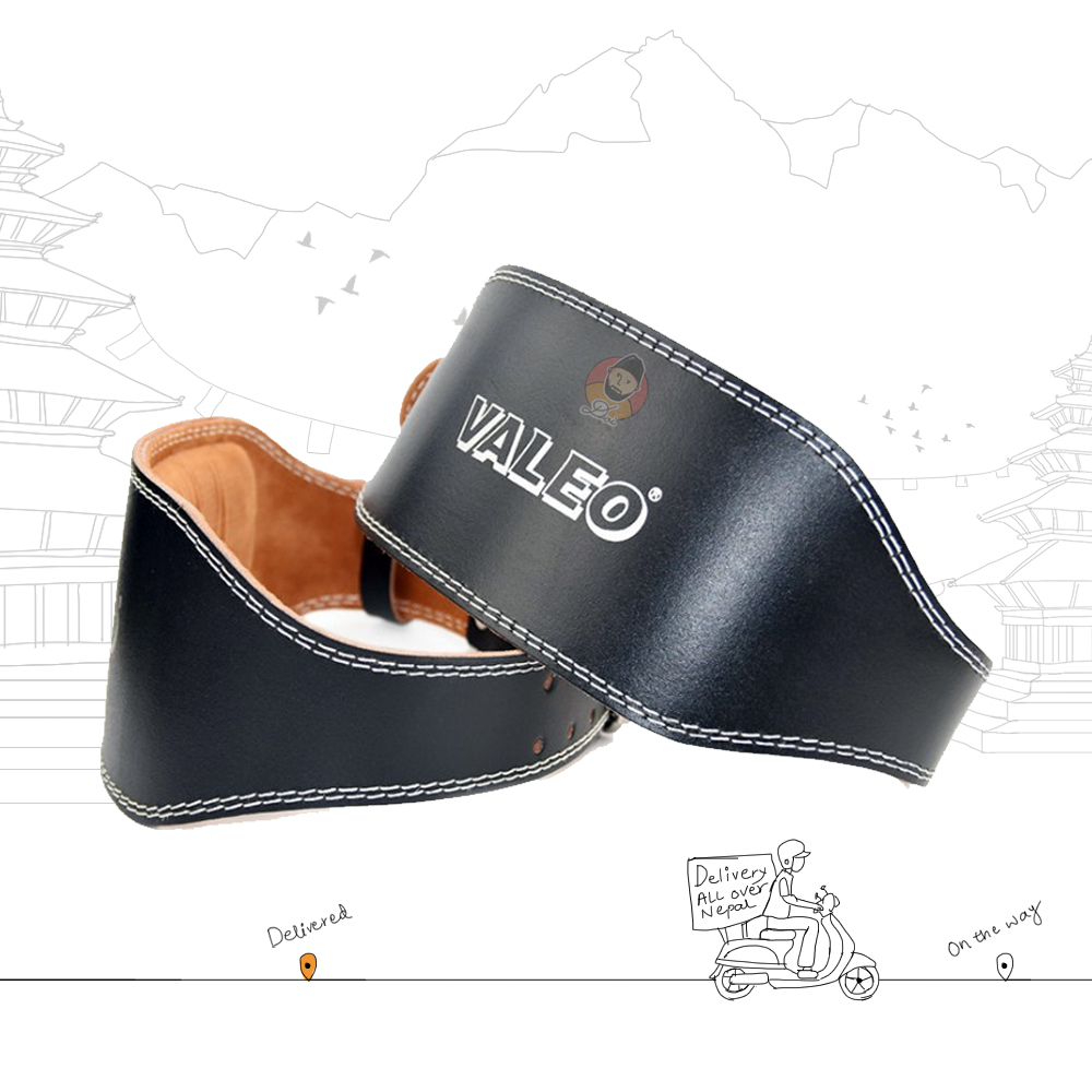 valeo lifting belt