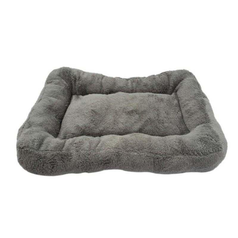 Best price hotsell for dog beds