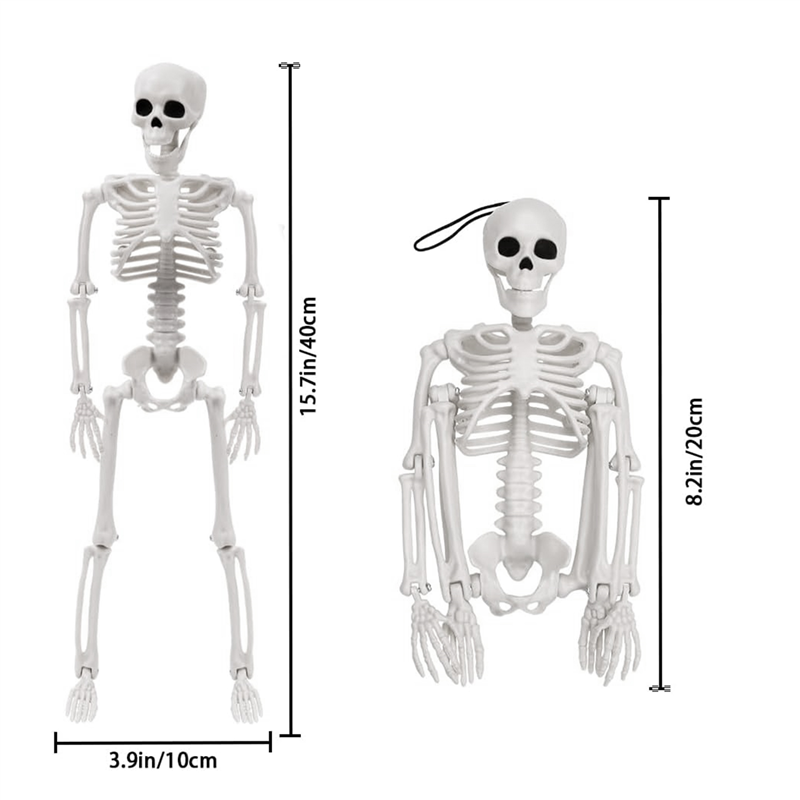 2Pcs Skeleton Halloween Decoration, 16 Inch Full Body Posable Halloween ...