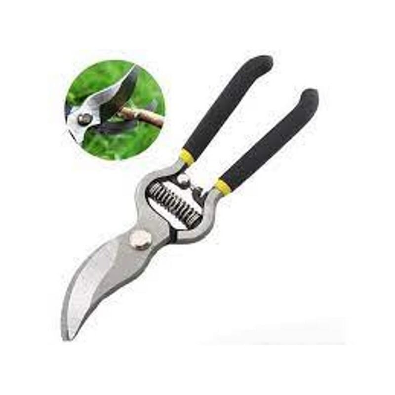 daraz.com.np