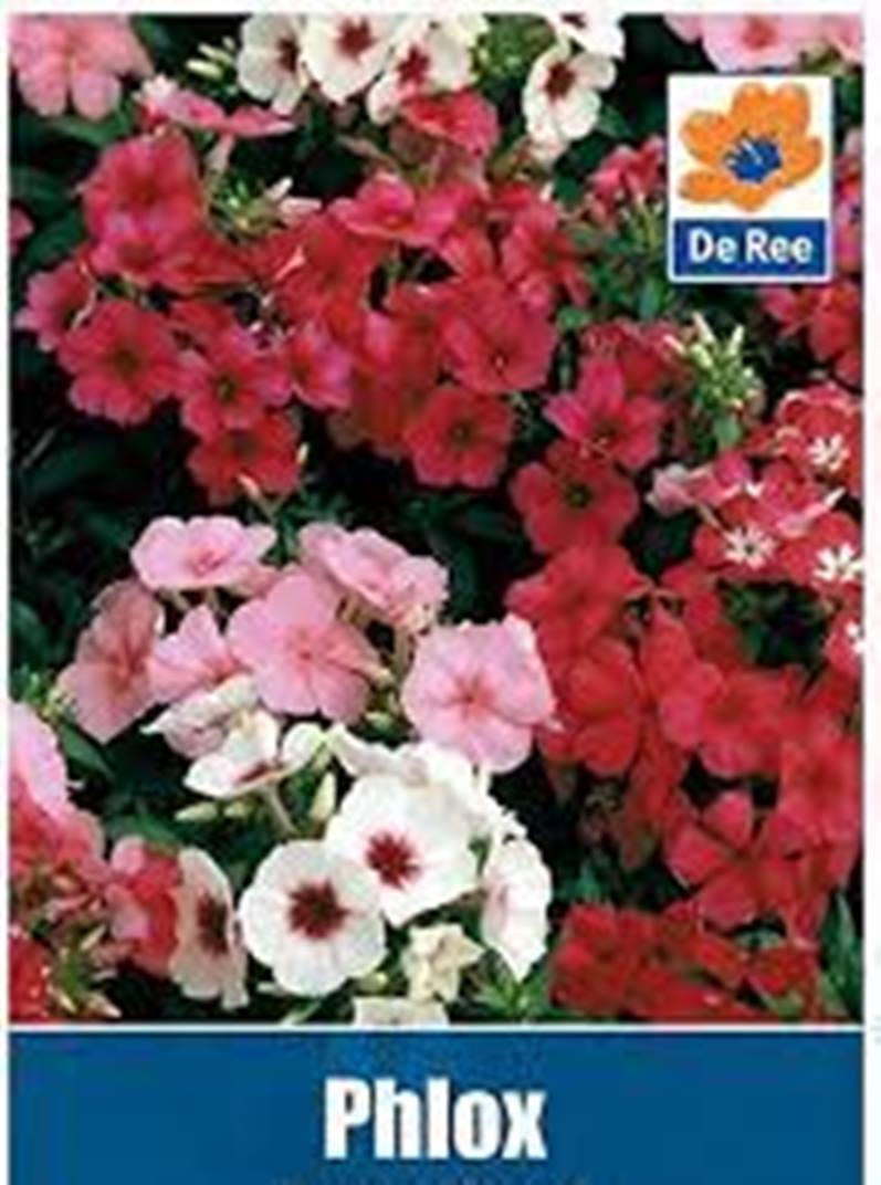 daraz.com.np