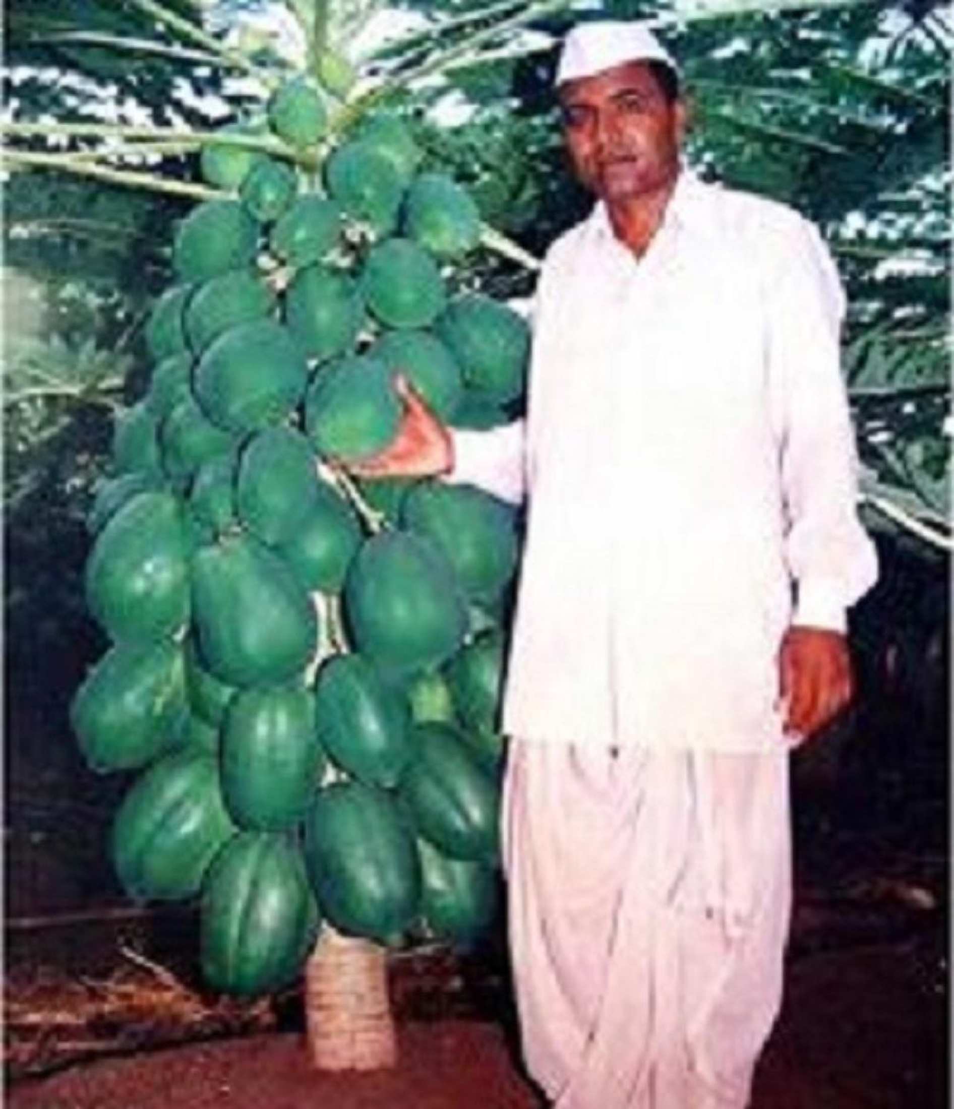 daraz.com.np