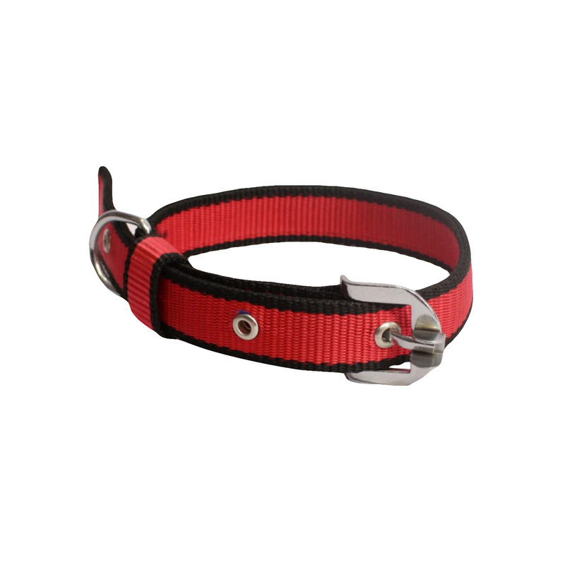 wainwright padded dog collar