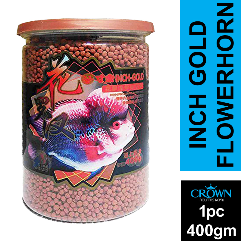 inch gold flowerhorn fish food