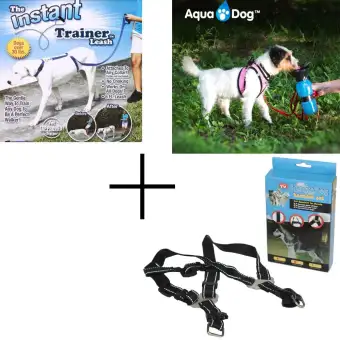 collar harness combo