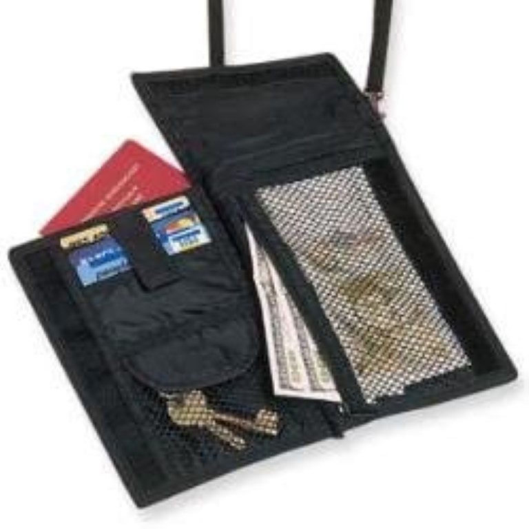 travel blue wallet