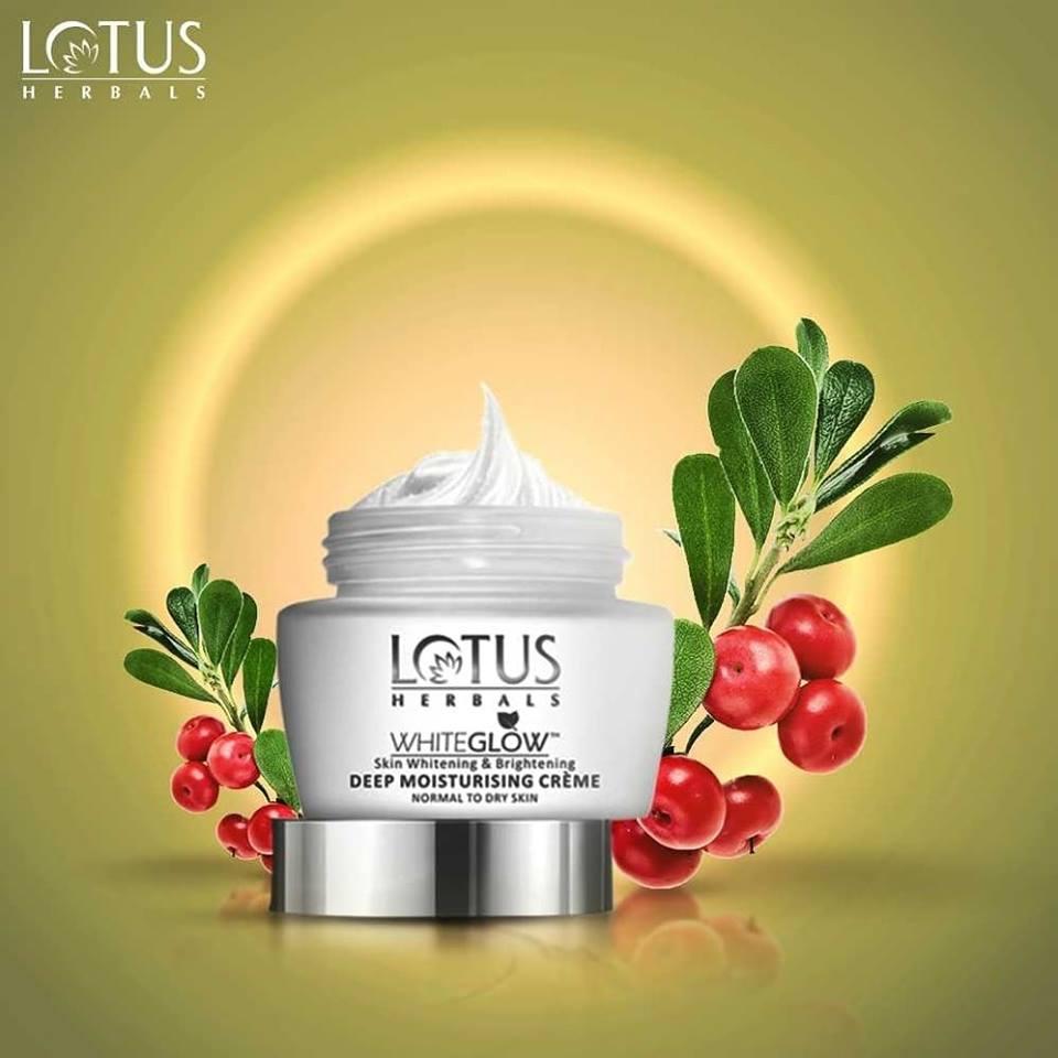 lotus sheamoist moisturizer price
