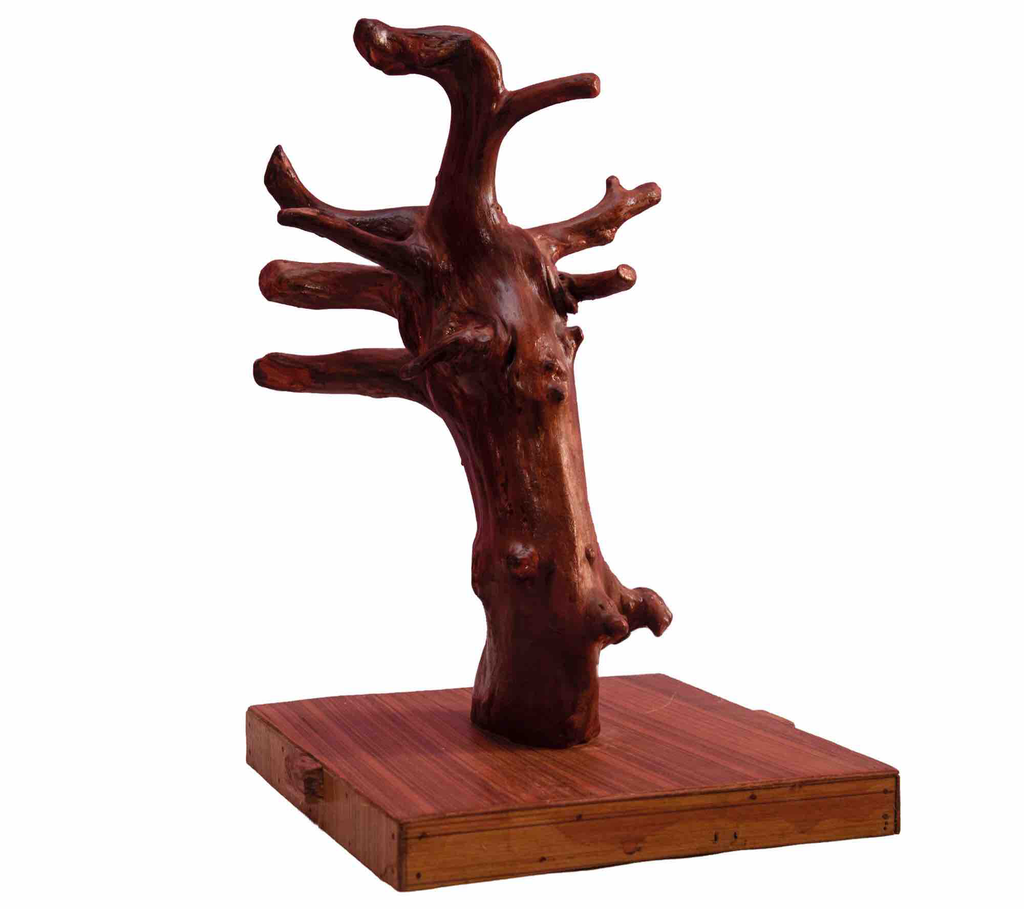 Tree root sculpture ubicaciondepersonas cdmx gob mx
