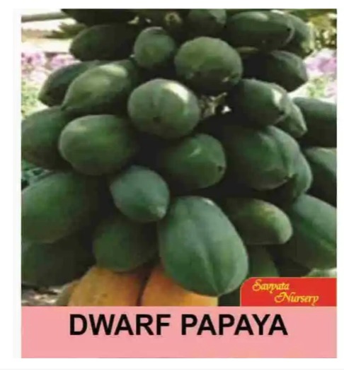 daraz.com.np
