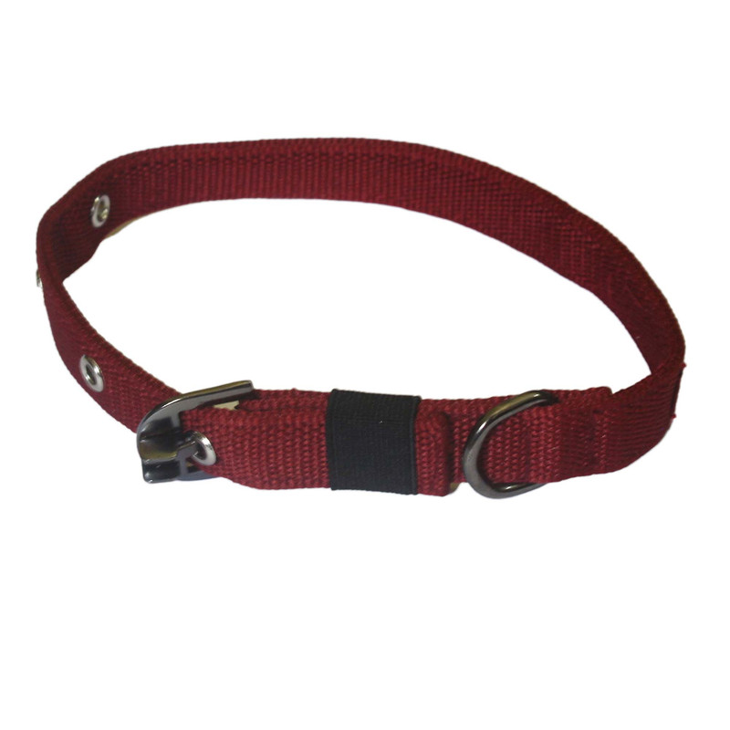 Dog Collar 15 MM: Buy Online at Best Prices in Nepal 