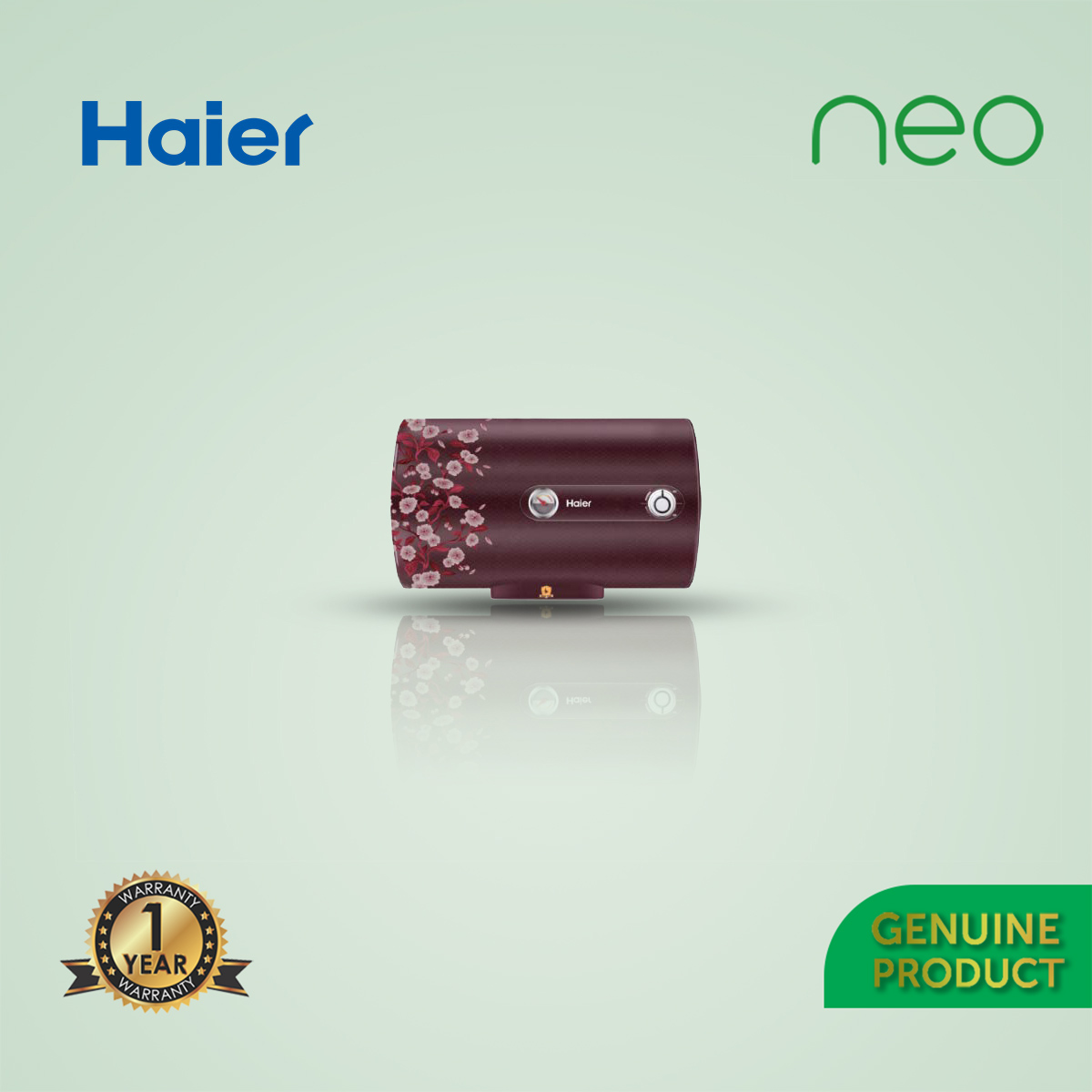 Haier Water Heater Es25V- Color Fr-25L