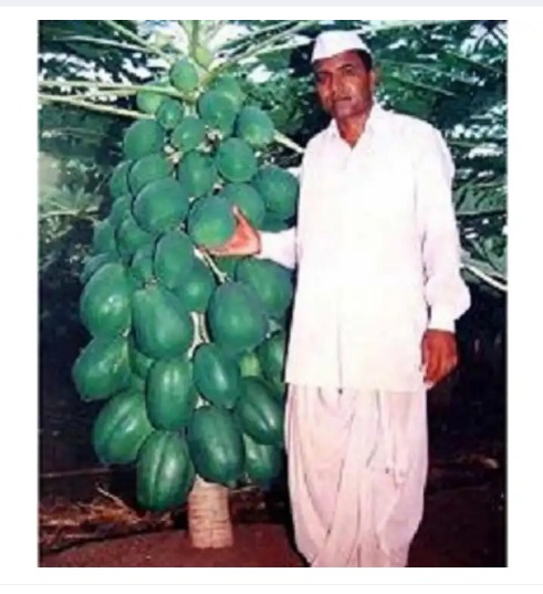 daraz.com.np
