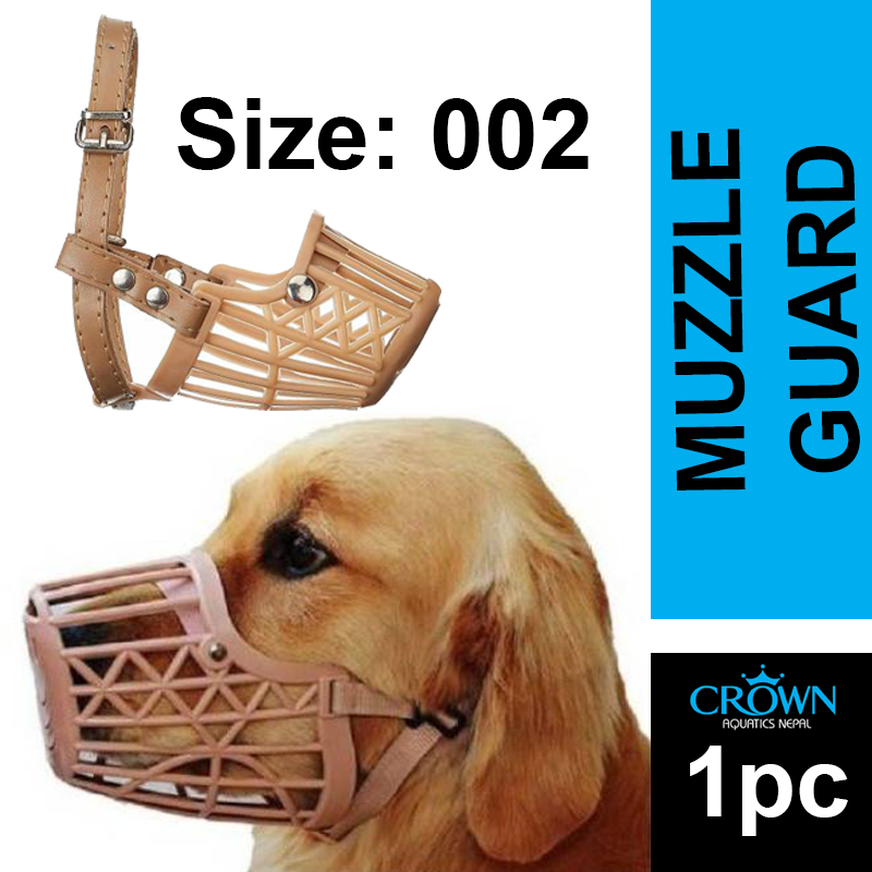 Can Dogs Sleep With Muzzles On