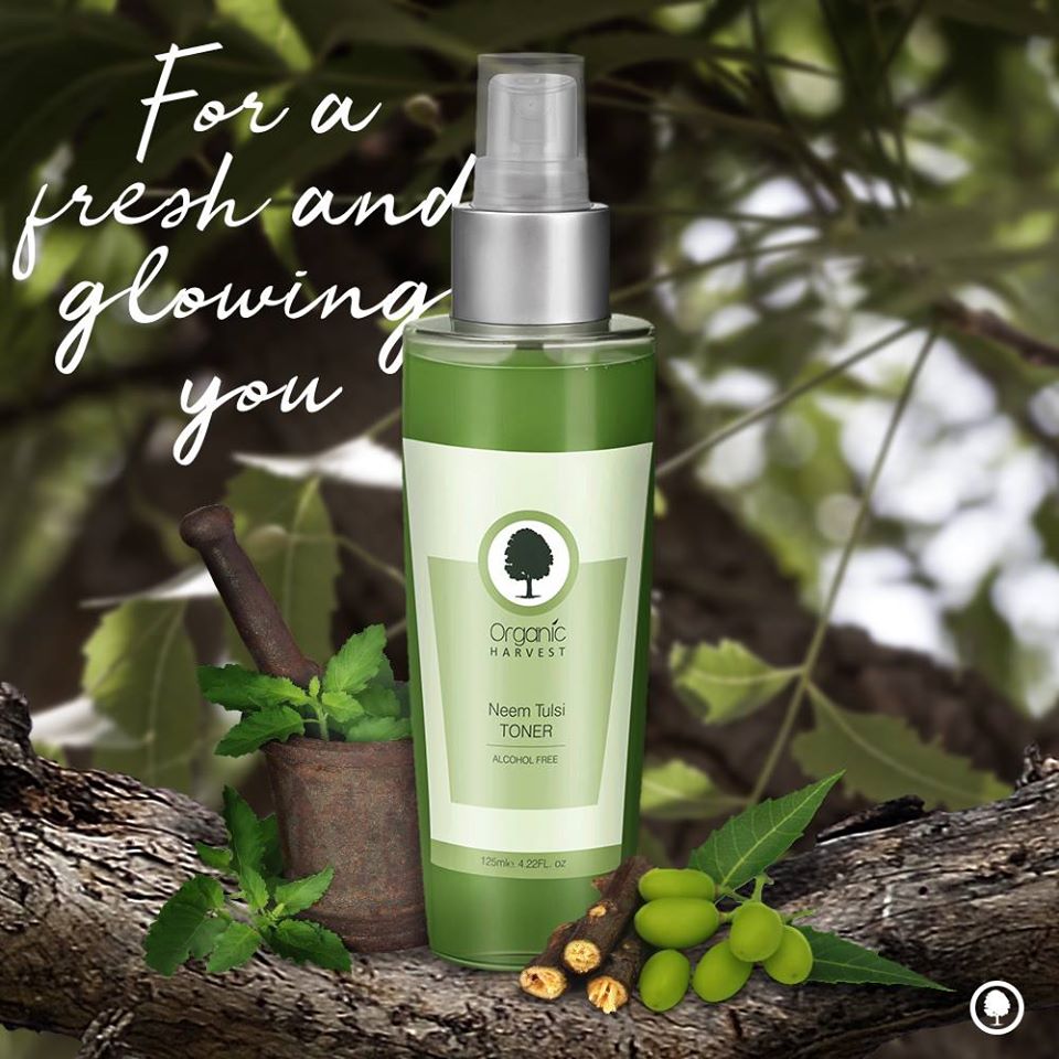 tulsi toner