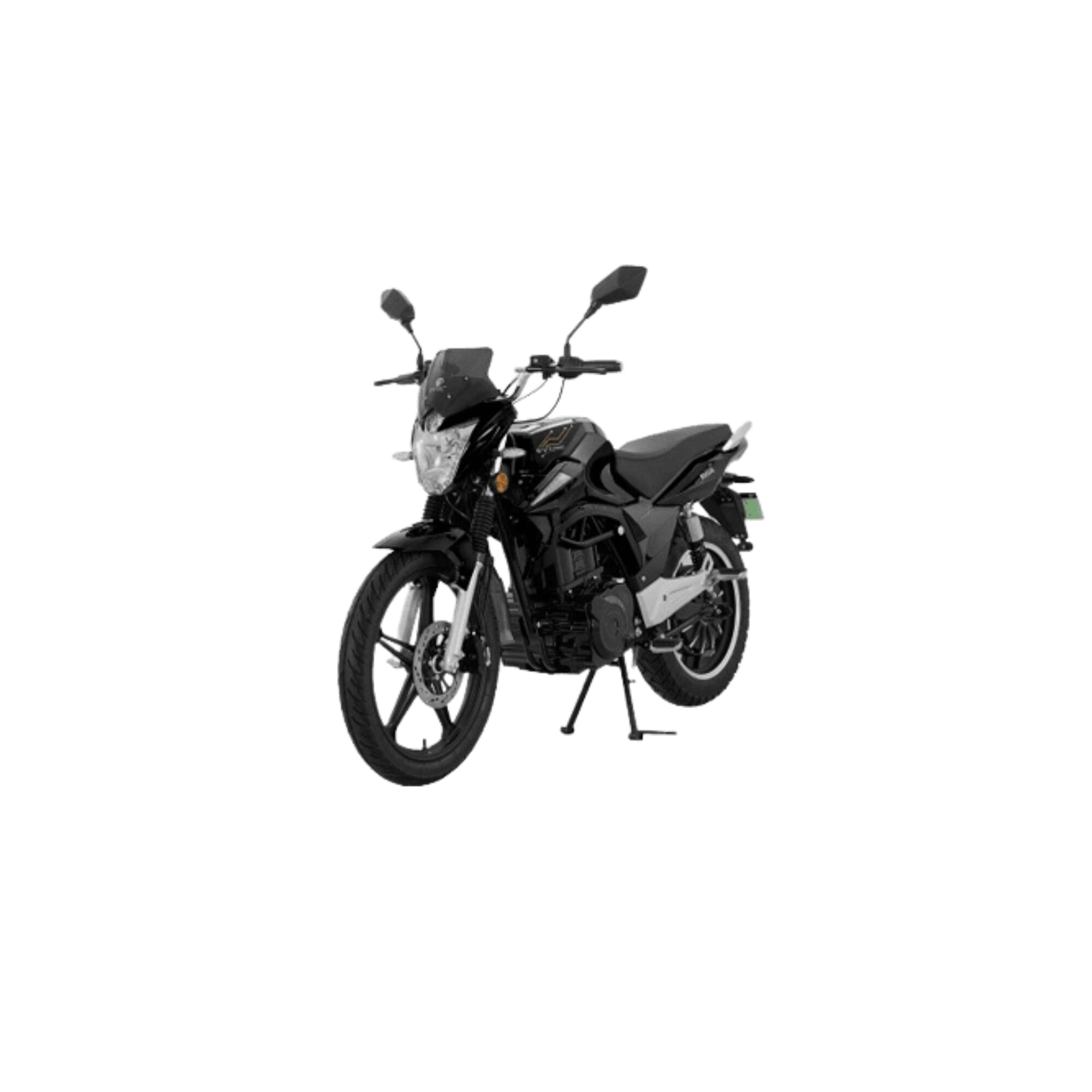 EVTRIC RISE LiON Battery Gear System Electric Bike Price in Nepal