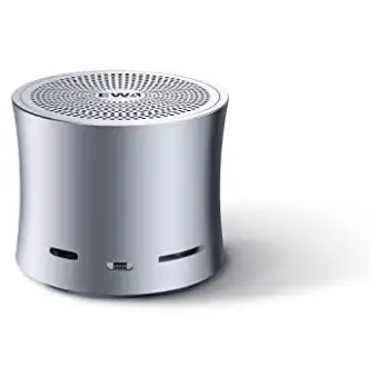 bluetooth speaker with bass radiator