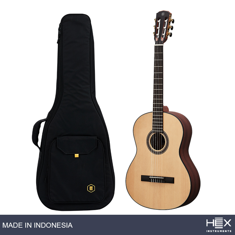 Hex Instruments Pollen C100 M Classical Guitar With Standard Gig Bag